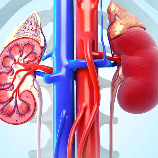 KFT with Bicarbonate